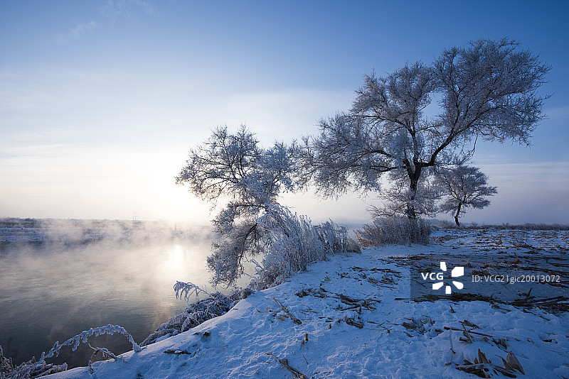 中国东北吉林雾淞岛雾凇美景奇观图片素材