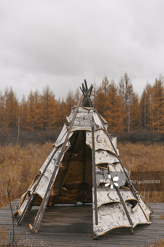 森林里的帐篷图片素材