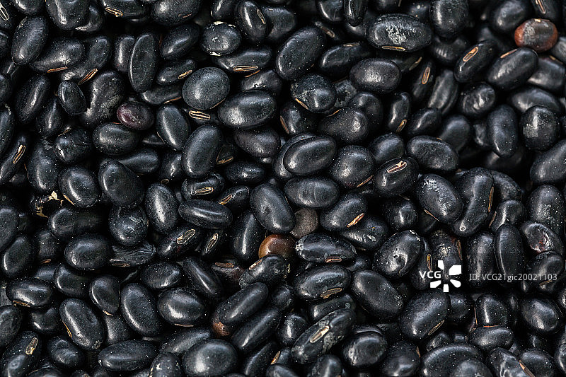 黑豆图片素材