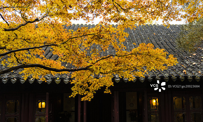 苏州留园风景图片素材