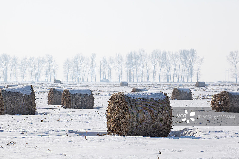 雪中的草垛子图片素材