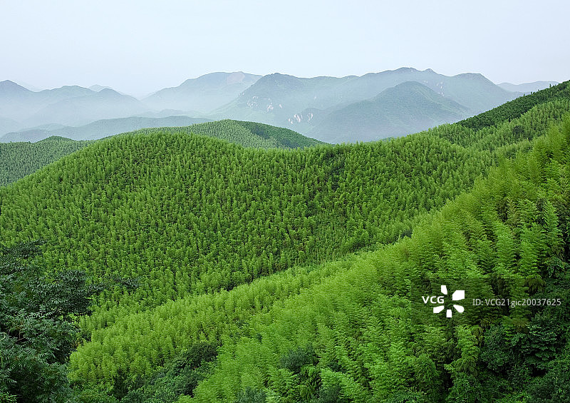竹海连山翠染莫干图片素材