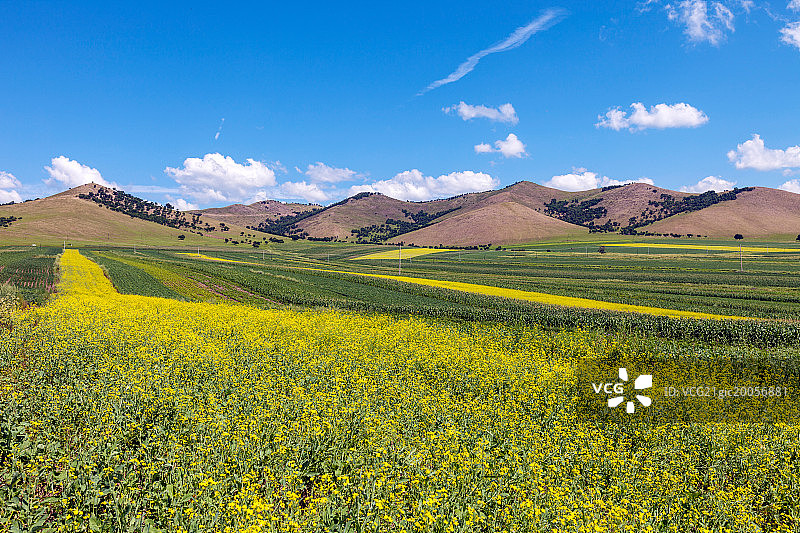 内蒙古霍林郭勒草原图片素材
