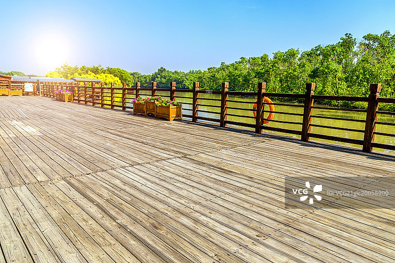 广东省广州南沙湿地公园图片素材