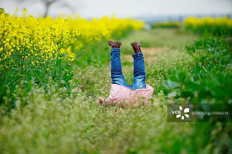 春暖花又开图片素材