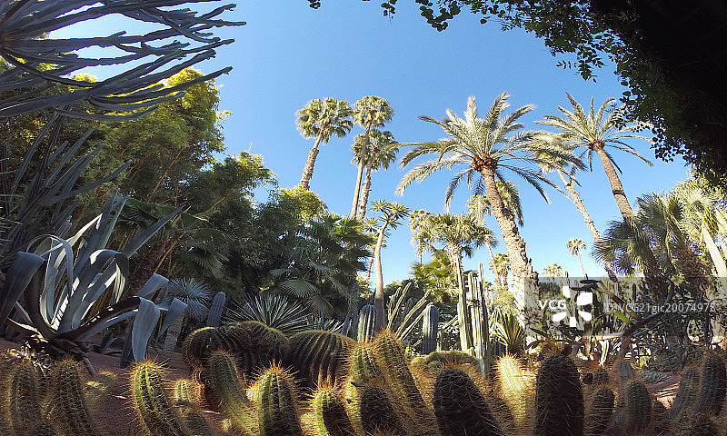 马加瑞利花园图片素材