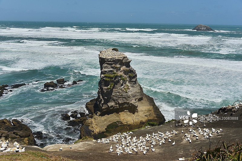 新西兰南岛海岸风光图片素材