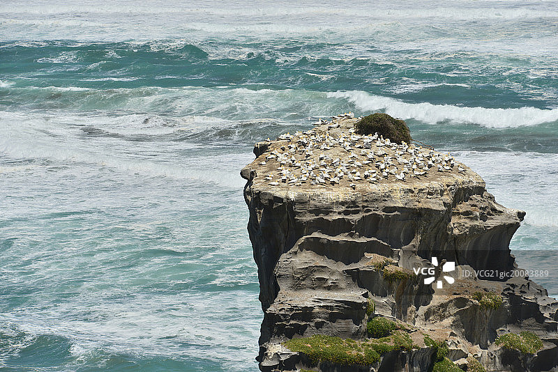 新西兰南岛海岸风光图片素材