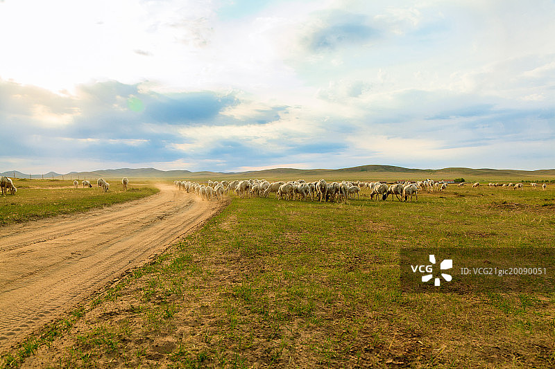 蜿蜒的车辙穿过草原图片素材