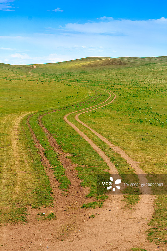 蜿蜒的车辙穿过草原图片素材