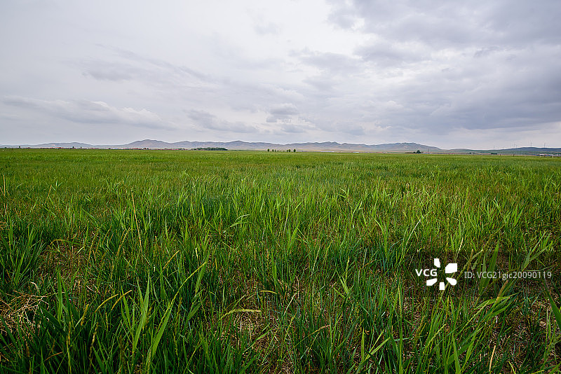 草原图片素材