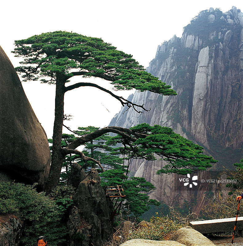 黄山图片素材