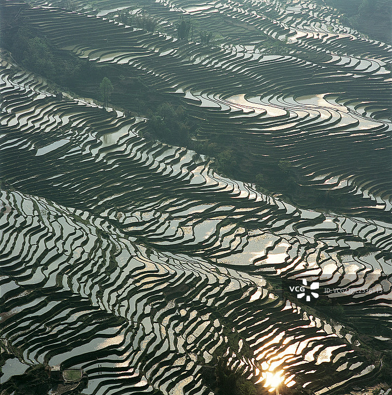 梯田图片素材