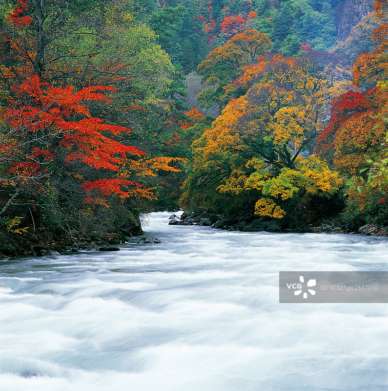 四川米亚罗图片素材