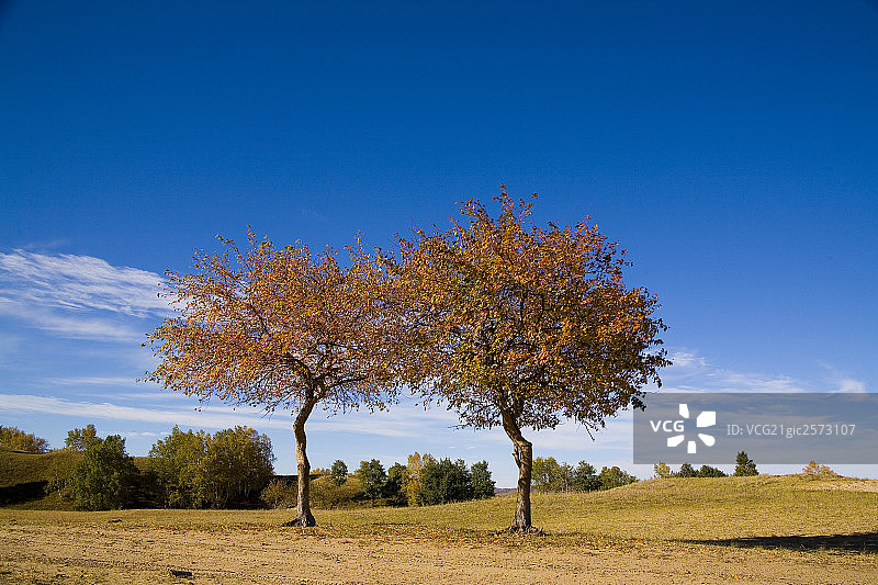 坝上高平原、内蒙古图片素材