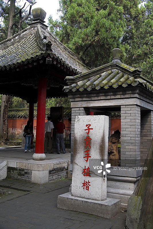 山东曲阜孔子林景观图片素材