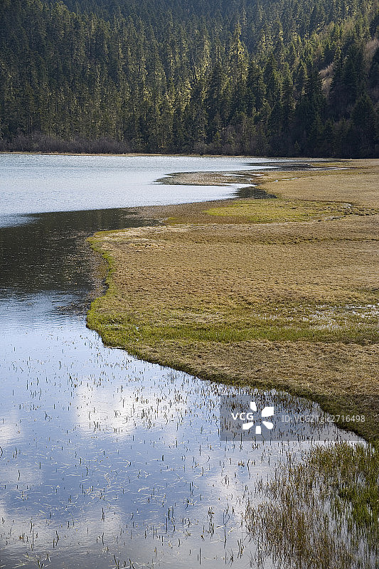 云南普达措国家公园图片素材