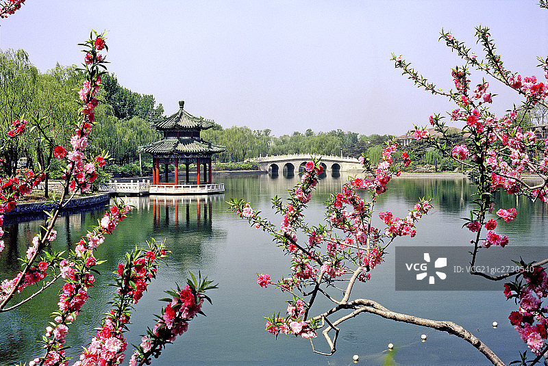 春到钓鱼台图片素材