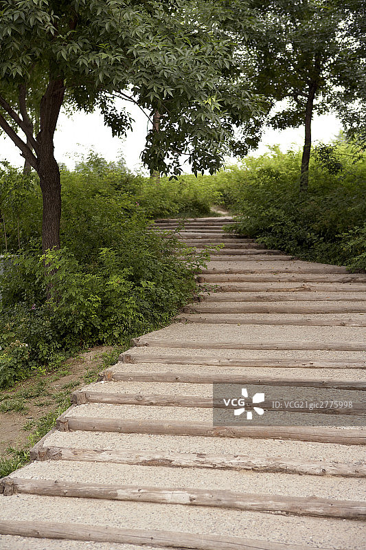 林间小道图片素材