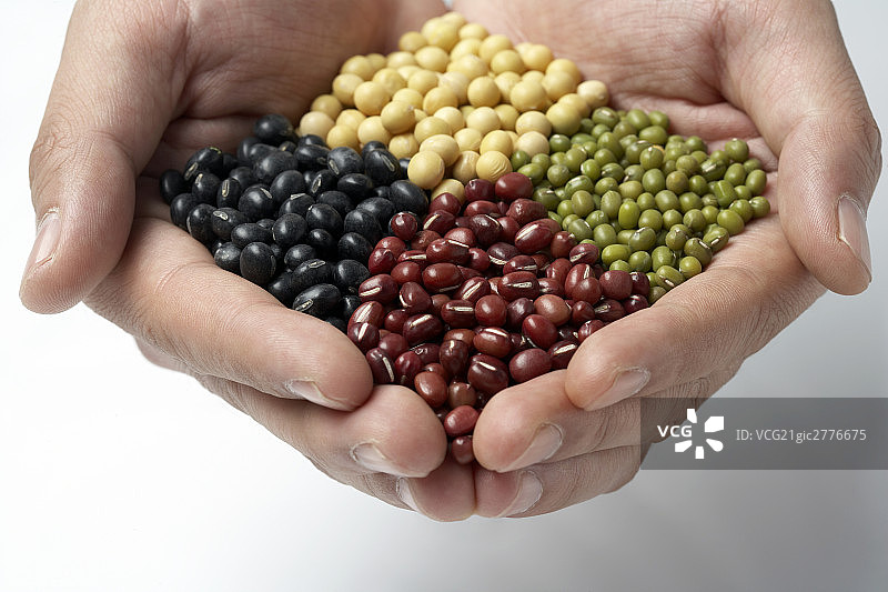 捧着豆子的双手图片素材