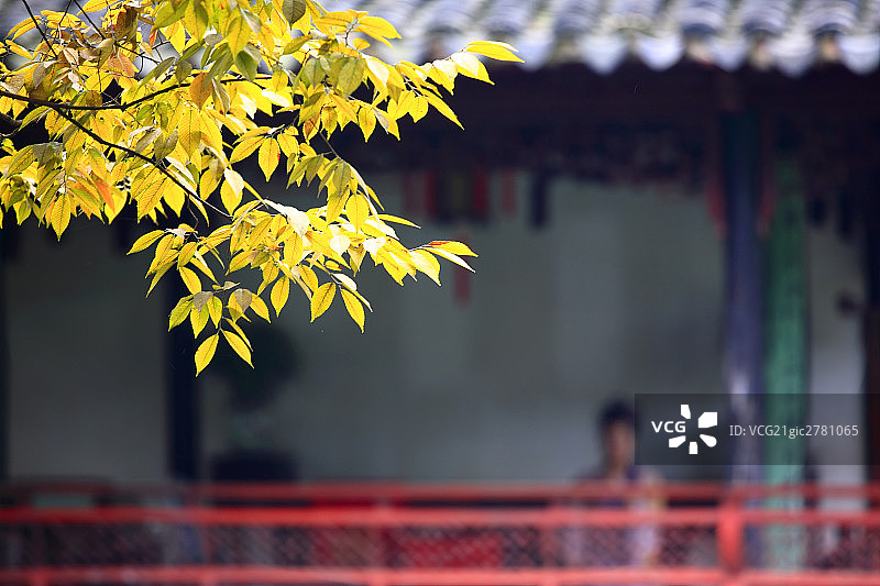 Suzhou gardens图片素材