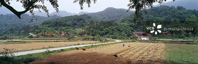 湖北随州大洪山图片素材