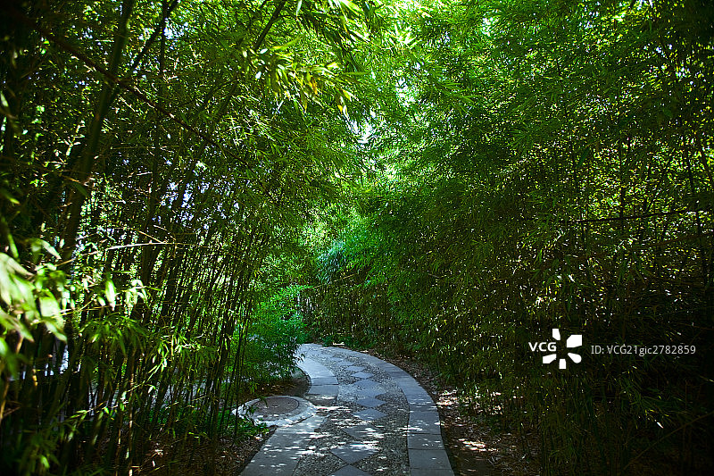 北京大观园中的竹林羊肠小道图片素材