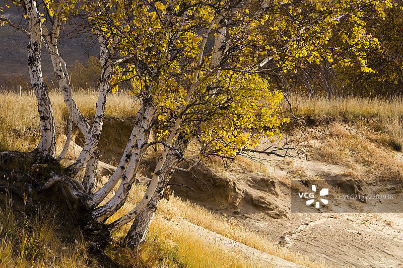 中国,丰宁,坝上图片素材
