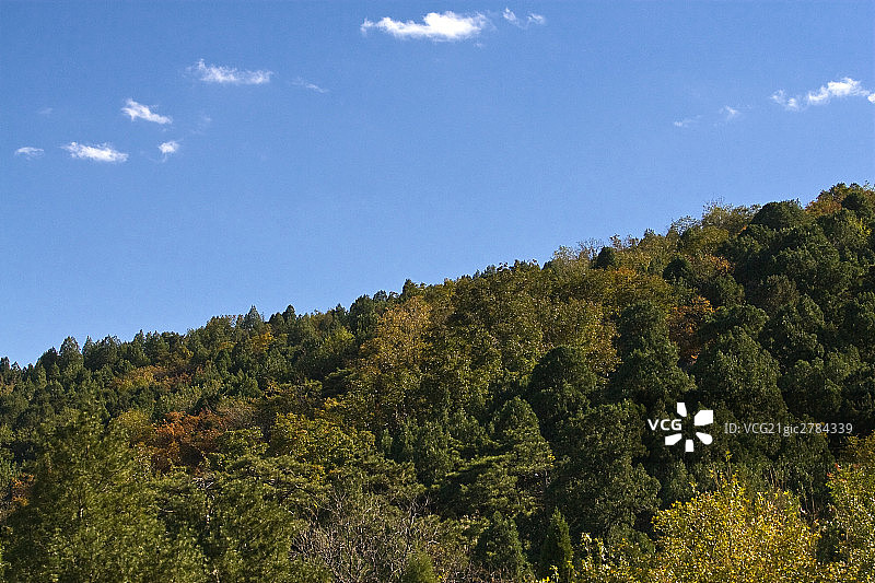 北京香山上眺望山景图片素材