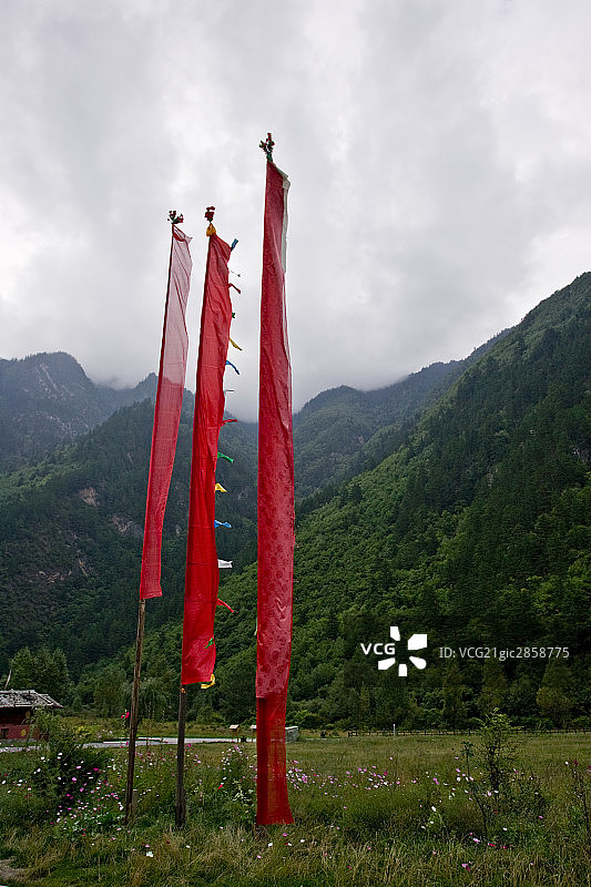 中国,四川,九寨沟,荷叶寨图片素材