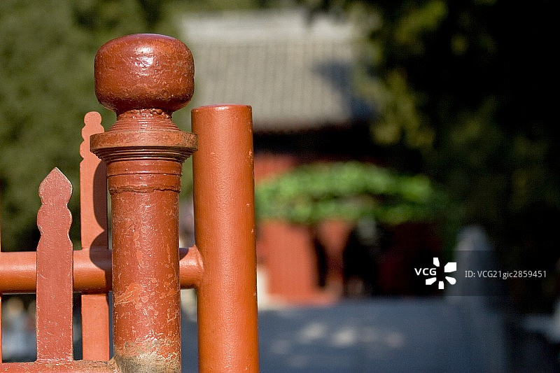 中国,北京,植物园图片素材