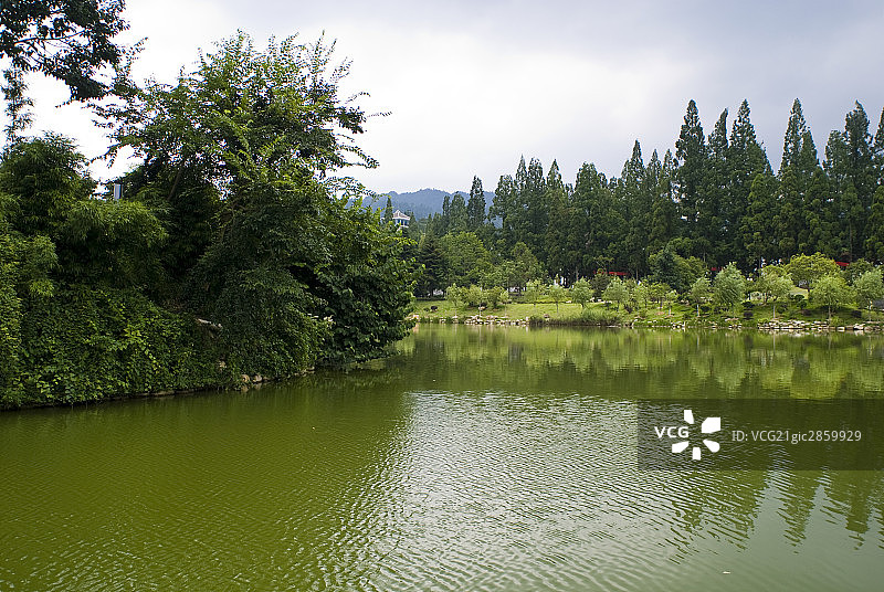 中国,井冈山,花园图片素材