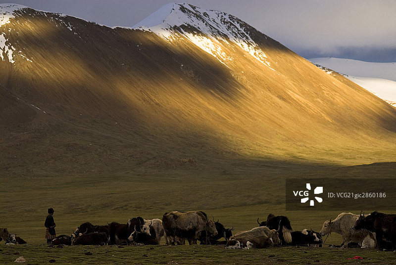 中国,西藏,唐古拉山口图片素材