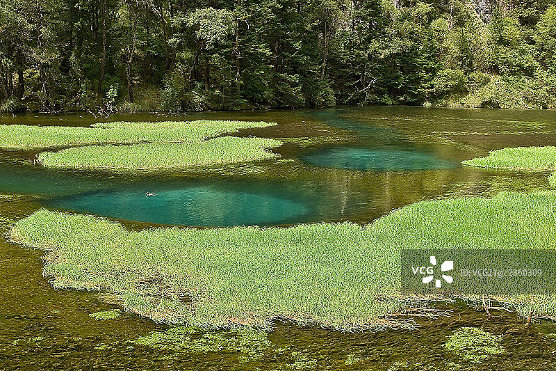 中国,四川,九寨沟,芳草海图片素材