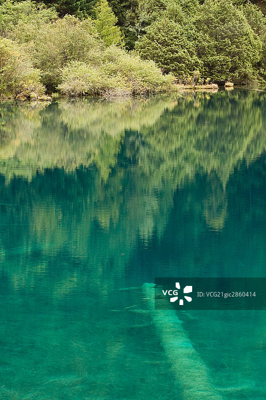 中国,四川,九寨沟,犀牛海图片素材