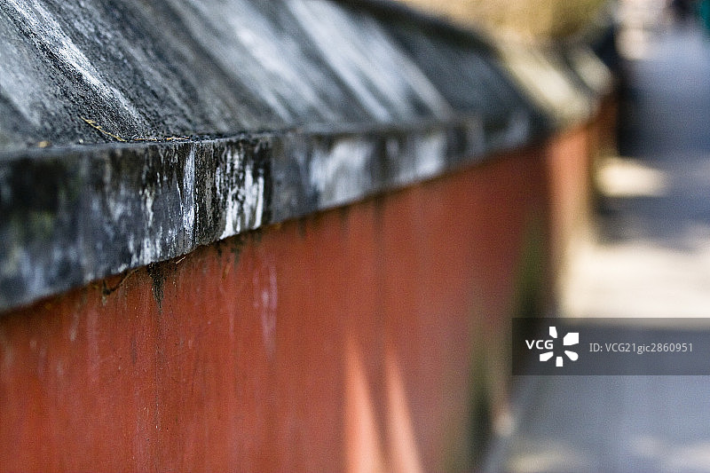 中国,北京,植物园图片素材