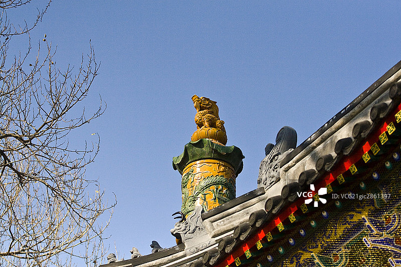 中国,北京,植物园图片素材