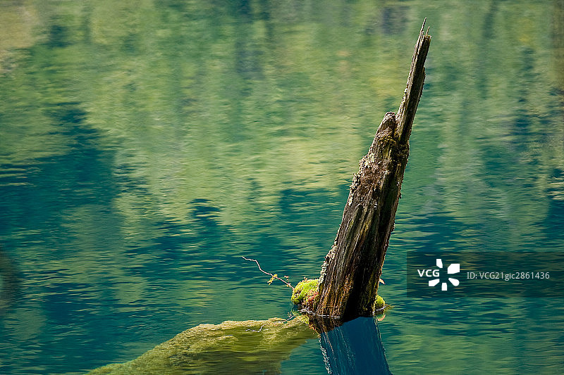 中国,四川,九寨沟老虎海图片素材