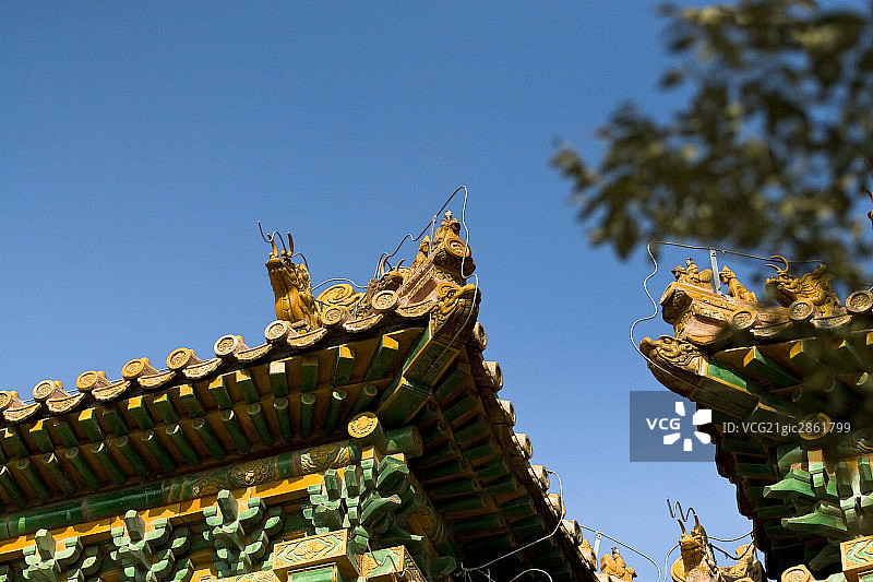 中国,北京,植物园图片素材