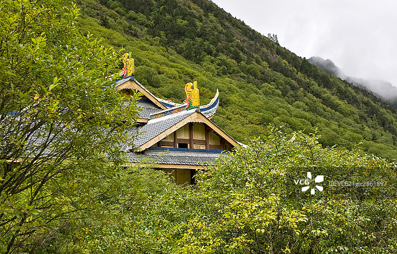 中国,四川,九寨沟黄龙图片素材