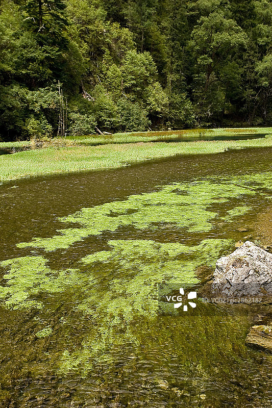中国,四川,九寨沟,芳草海图片素材
