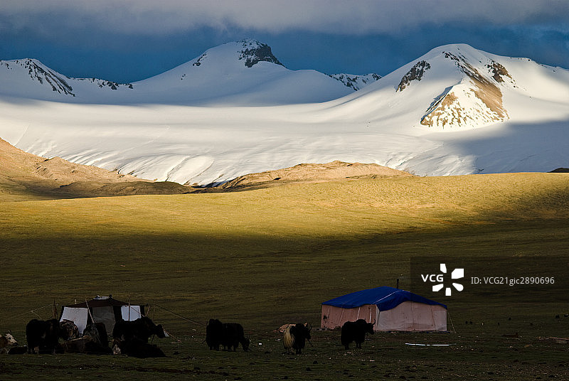 唐古拉山口,雪山,草地图片素材
