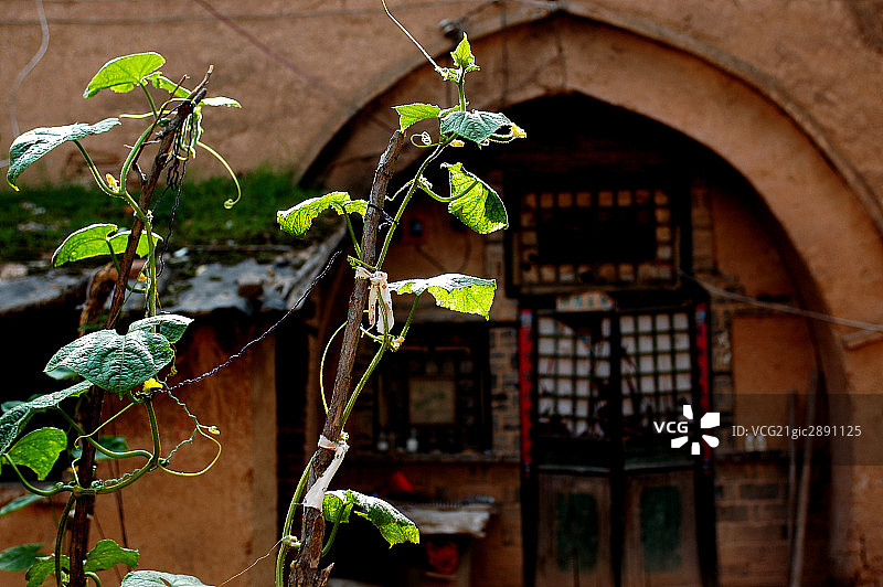 河南省,陕县,民俗地坑院图片素材