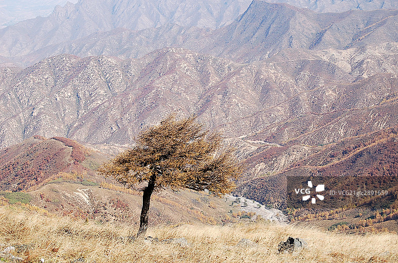 北京,季节,风景,山图片素材