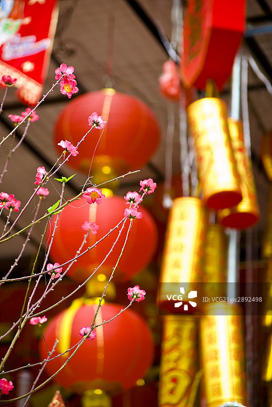 过年装饰,桃花图片素材