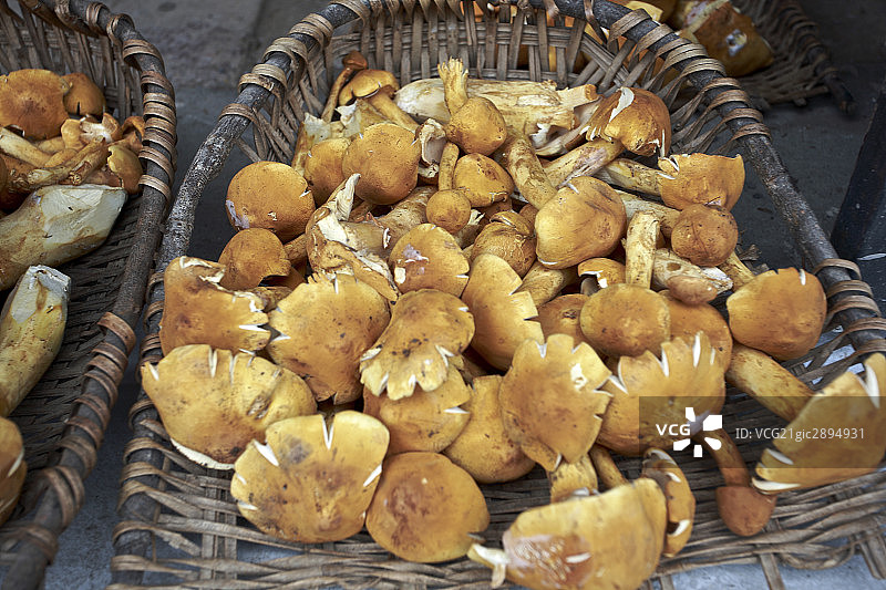 四川黄龙风景区图片素材
