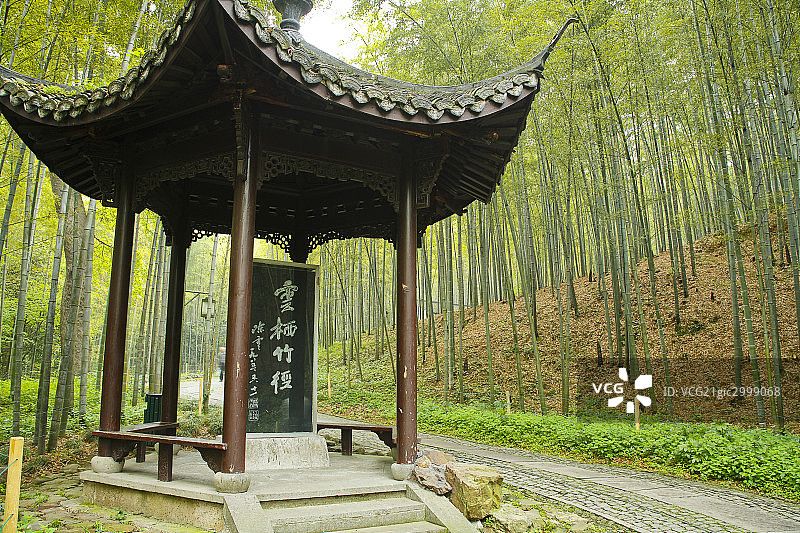 杭州云栖竹径图片素材