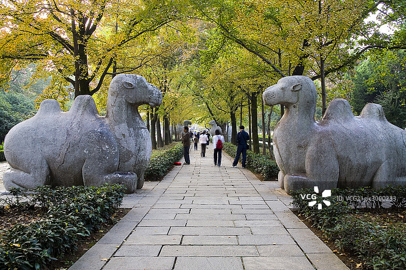 江苏南京孝陵图片素材