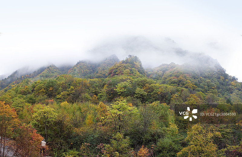 光雾山秋色图片素材
