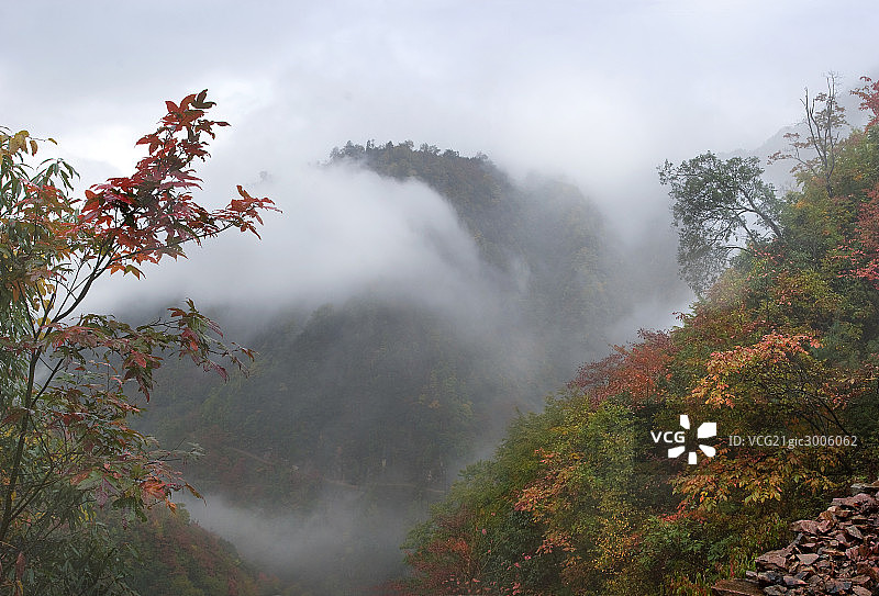 光雾山秋色图片素材